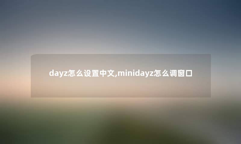 dayz怎么设置中文,minidayz怎么调窗口