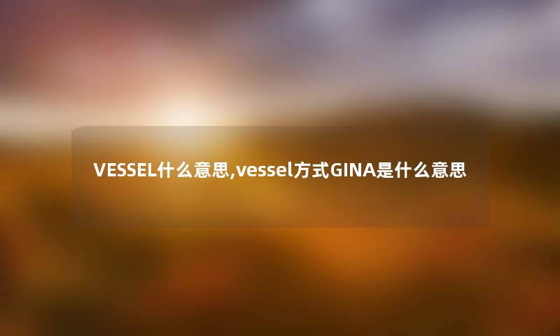 VESSEL什么意思,vessel方式GINA是什么意思 VESSEL什么意思,vessel方式GINA是什么意思