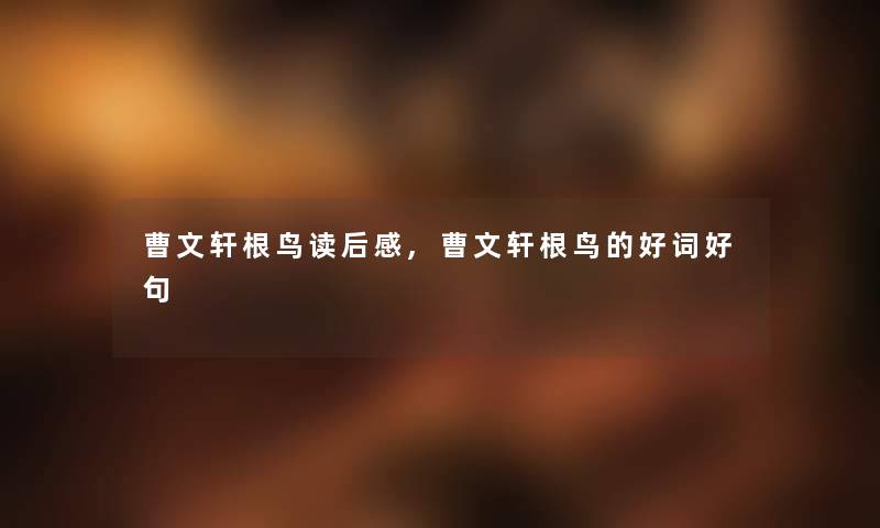 曹文轩根鸟读后感,曹文轩根鸟的好词好句